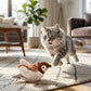 Realistic Bird Pet Toy