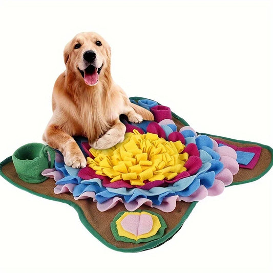 Pets playing Mat