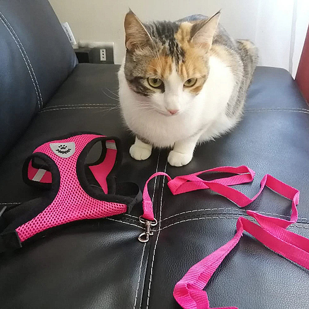 Mesh Breathable Harnesses Reflective sti for Small Dog Cat accessories