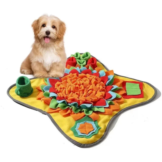 Pets playing Mat