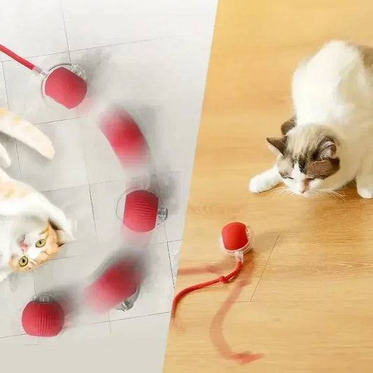 Smart Rolling Cat Toy Ball