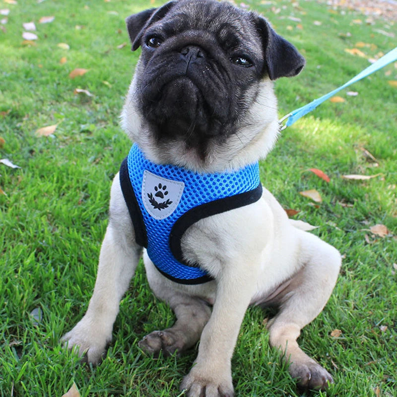 Mesh Breathable Harnesses Reflective sti for Small Dog Cat accessories