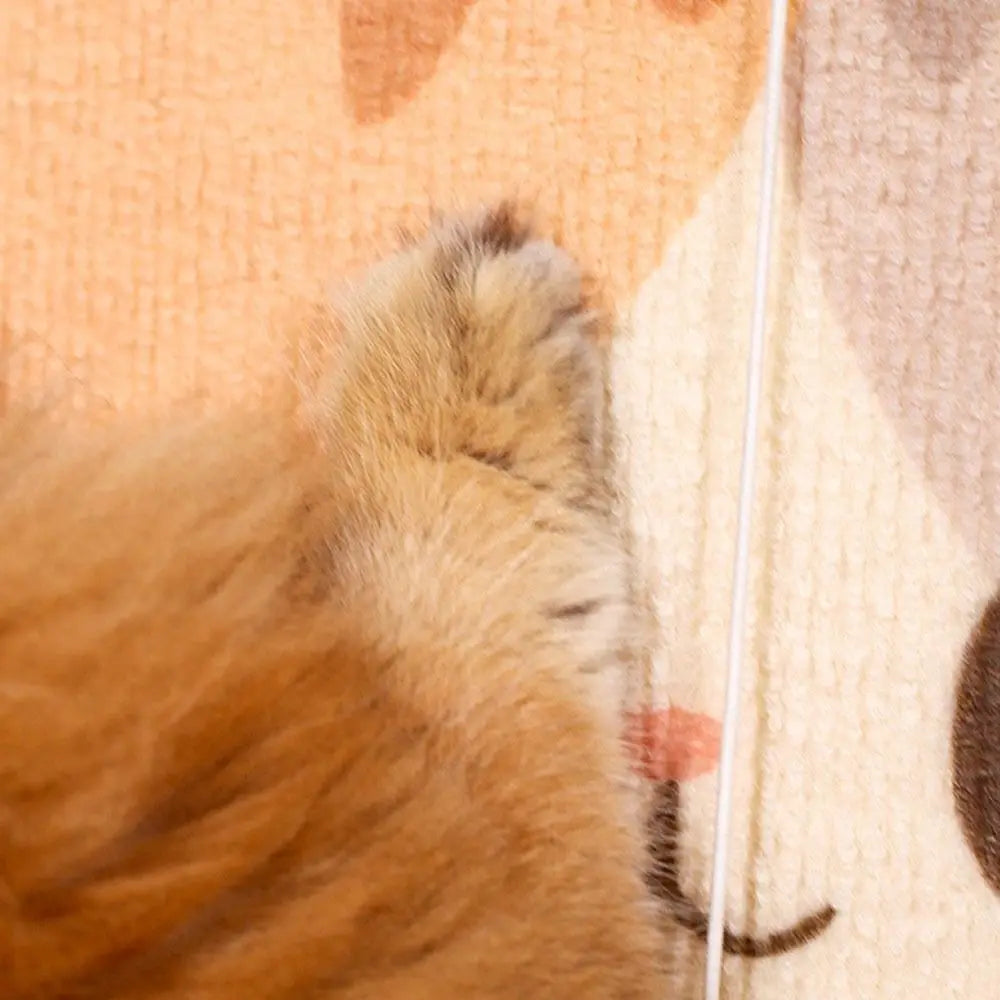 Cat Wall Scratcher