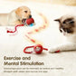 Smart Rolling Cat Toy Ball