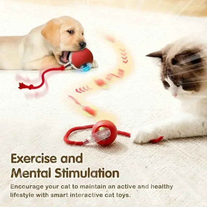 Smart Rolling Cat Toy Ball