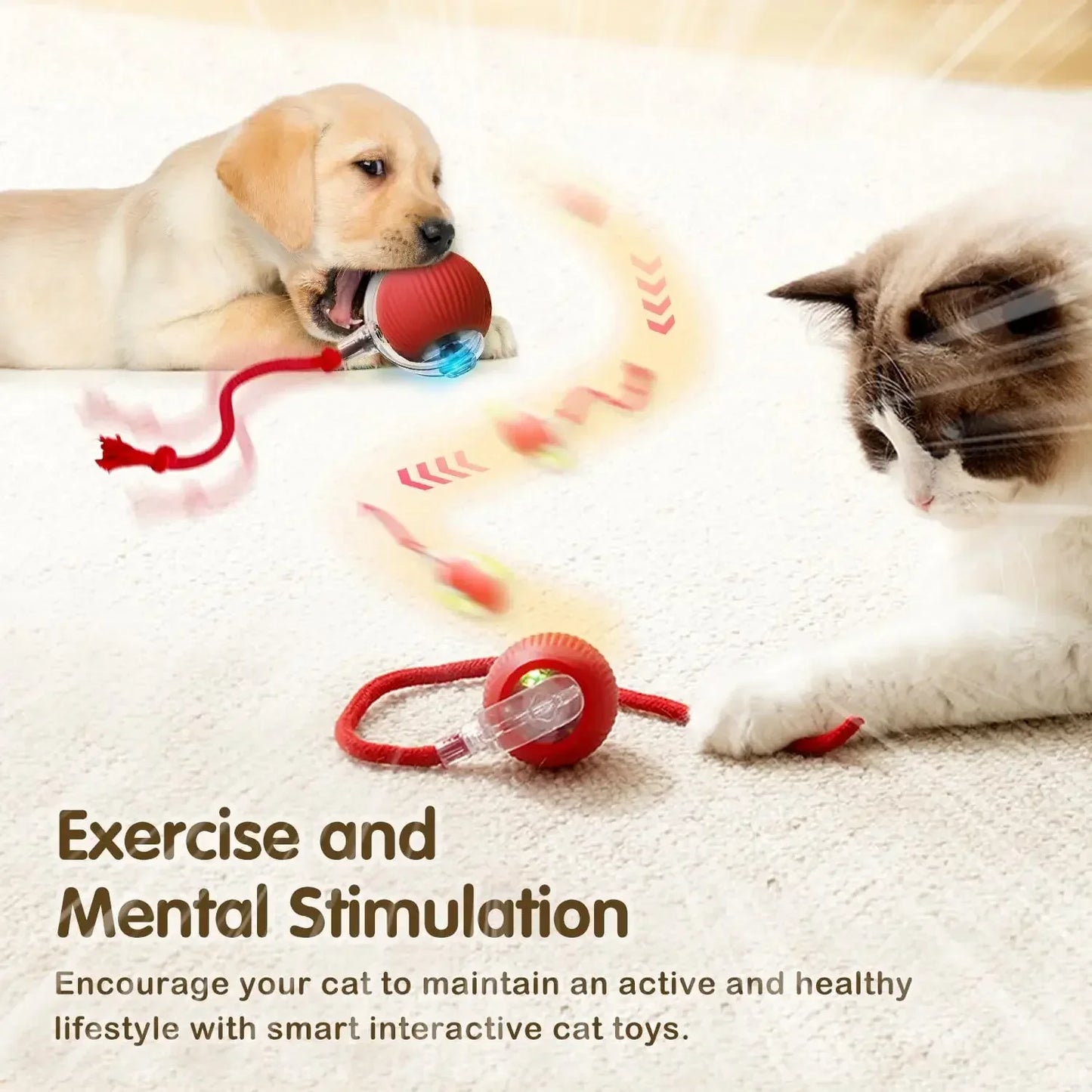 Smart Rolling Cat Toy Ball